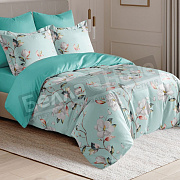 КПБ Сайлид сатин Дуэт BN -  1 в коробке