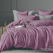 КПБ Luxor сатин гл/кр 2,0 - Макси диз. № 17-1610 Темная орхидея (N)