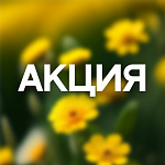 Акция