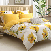 КПБ Сайлид сатин Евро В - 236