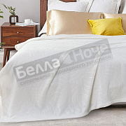 Клео Плед Велсофт 200*220 Aura 200/001-AUR 