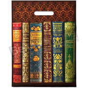 Пакет ПЭ с вырубной ручкой 30*40 Интерпак Книги