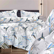 КПБ Бояртекс бязь 1,5 сп. 340 Колибри в.9 Б/З