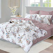 КПБ Сайлид сатин 2,0 сп. В - 251