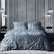 КПБ Реноме бязь Премиум Евро 72068-2 Новое пейсли