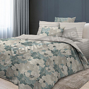 Реноме Пододеяльник бязь Премиум 2,0сп 6739-1 Уолтер