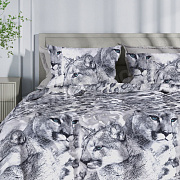 КПБ Delight бязь 1,5 сп.  4237/1 Пума 
