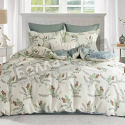 КПБ Сайлид сатин 2,0 сп. В - 243